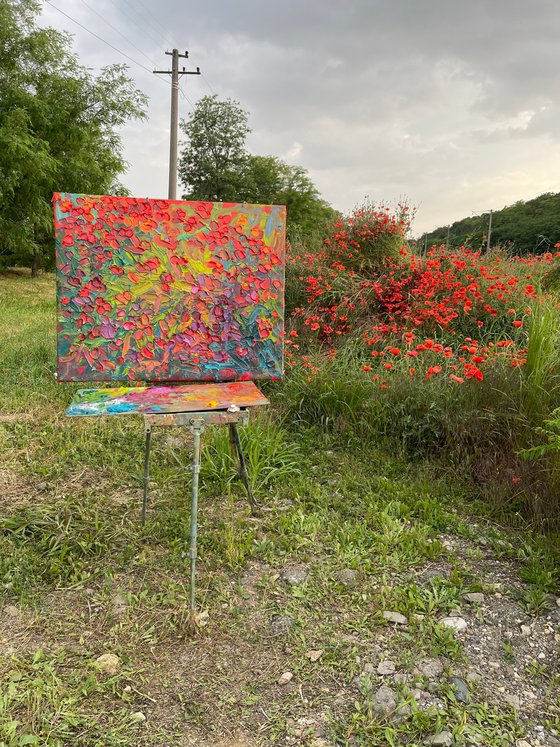 Poppies