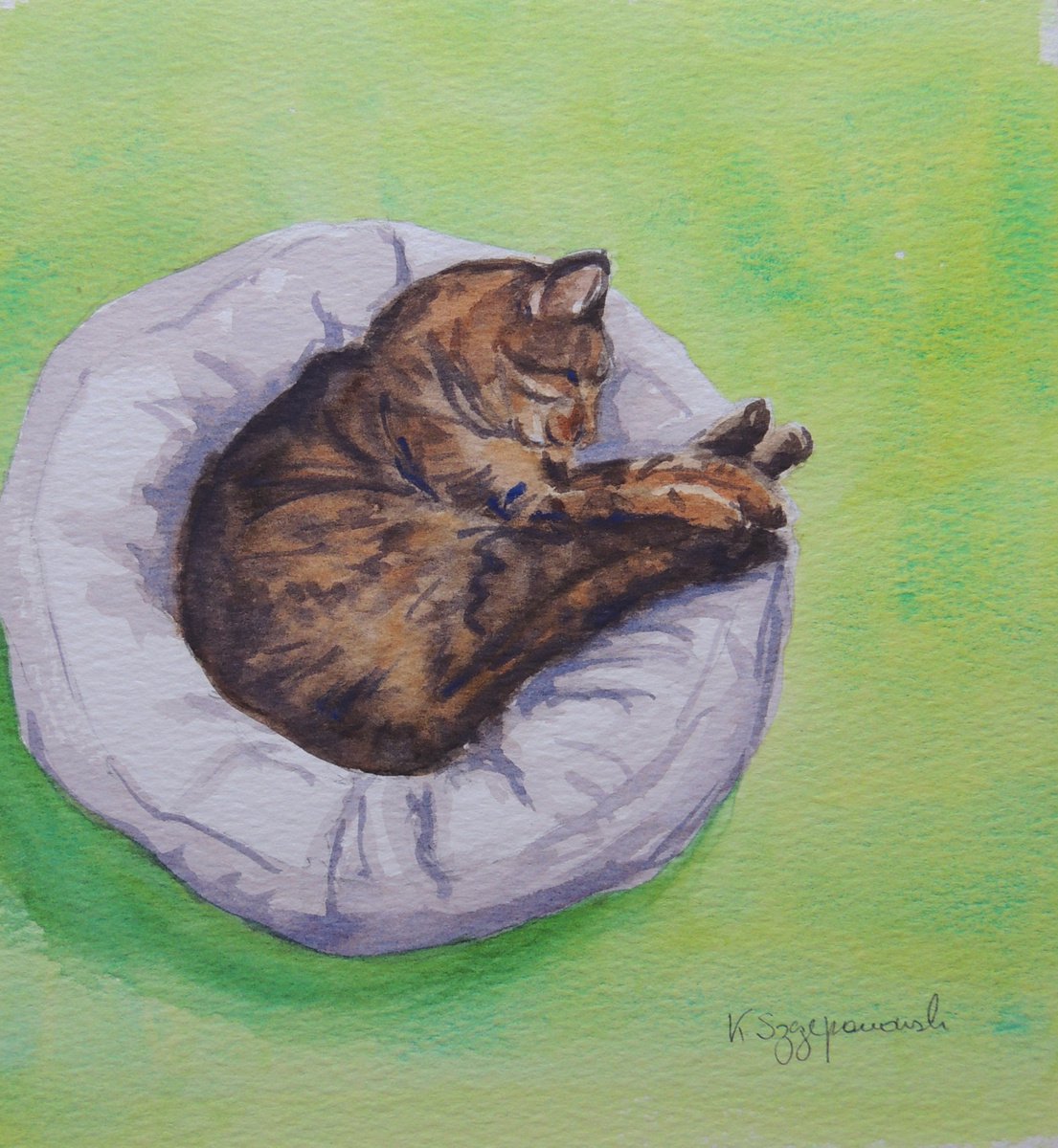 Cat with bright lime green background by Krystyna Szczepanowski