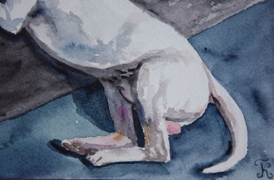 Bull Terrier watercolor painting, dog portrait, animalistic wall art