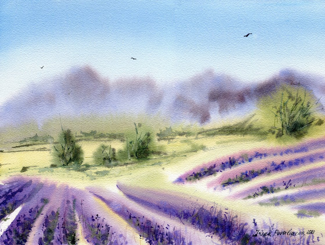 lavender fields paintings