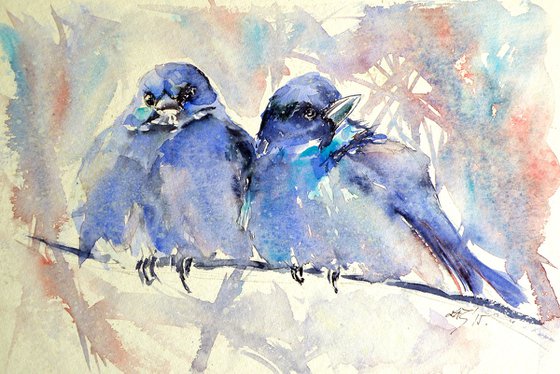 Mountain bluebirds