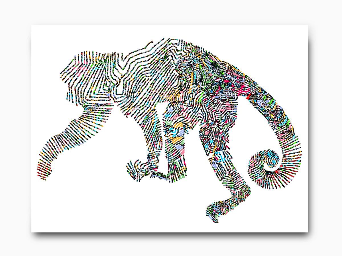 Monkey jump: Monochrome, Framed Artwork, 16 x20(40x50cm), by Jeff Kaguri