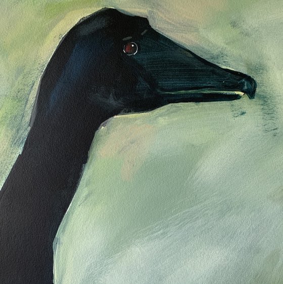 I will not come alone. Black swan. 110x110cm