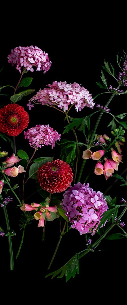 Hydrangeas and Foxgloves by Dianna Jazwinski