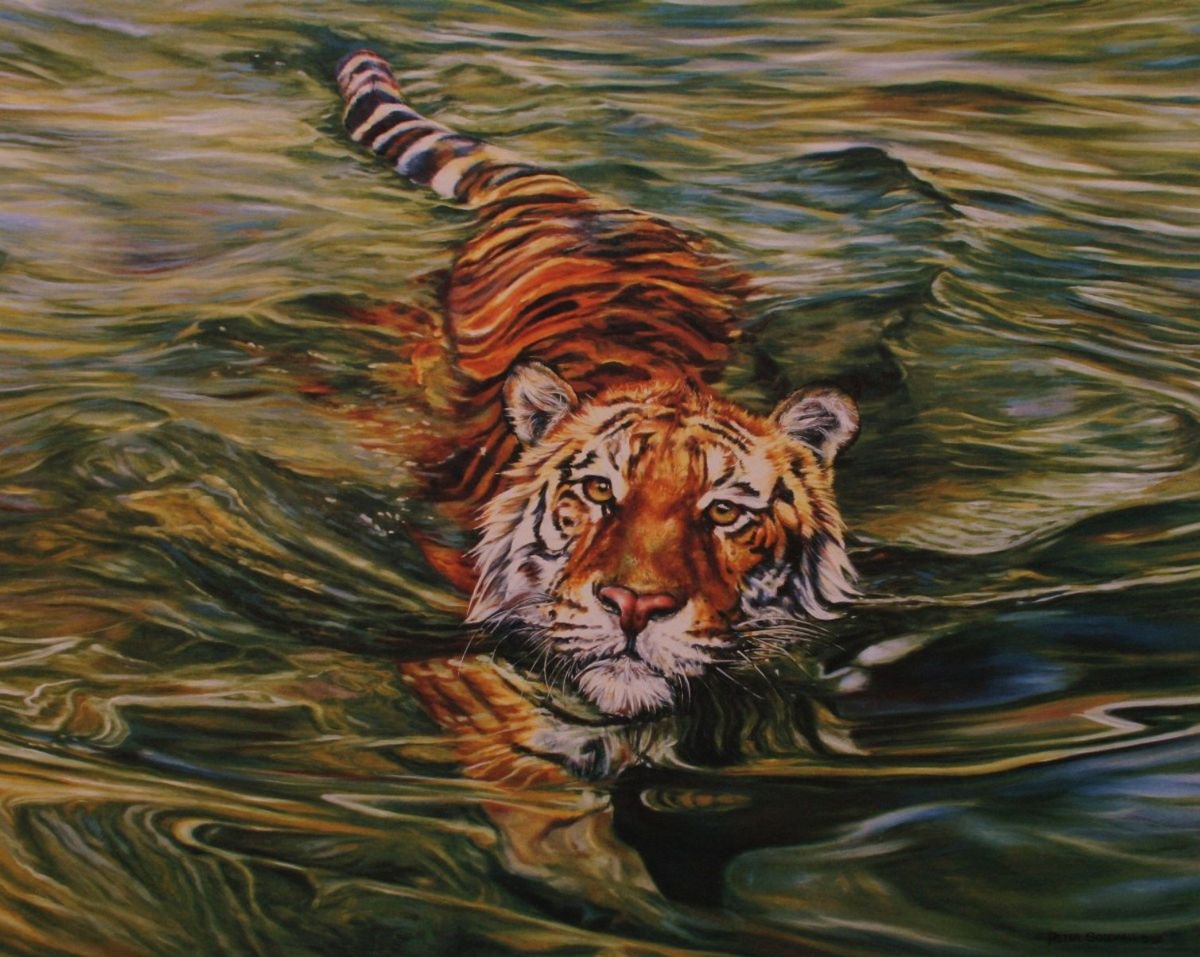 Photorealistic Oil Painting , Golden Eyes By Peter Goodhall, 30 X 24, Artwork For Sale On Artfinder