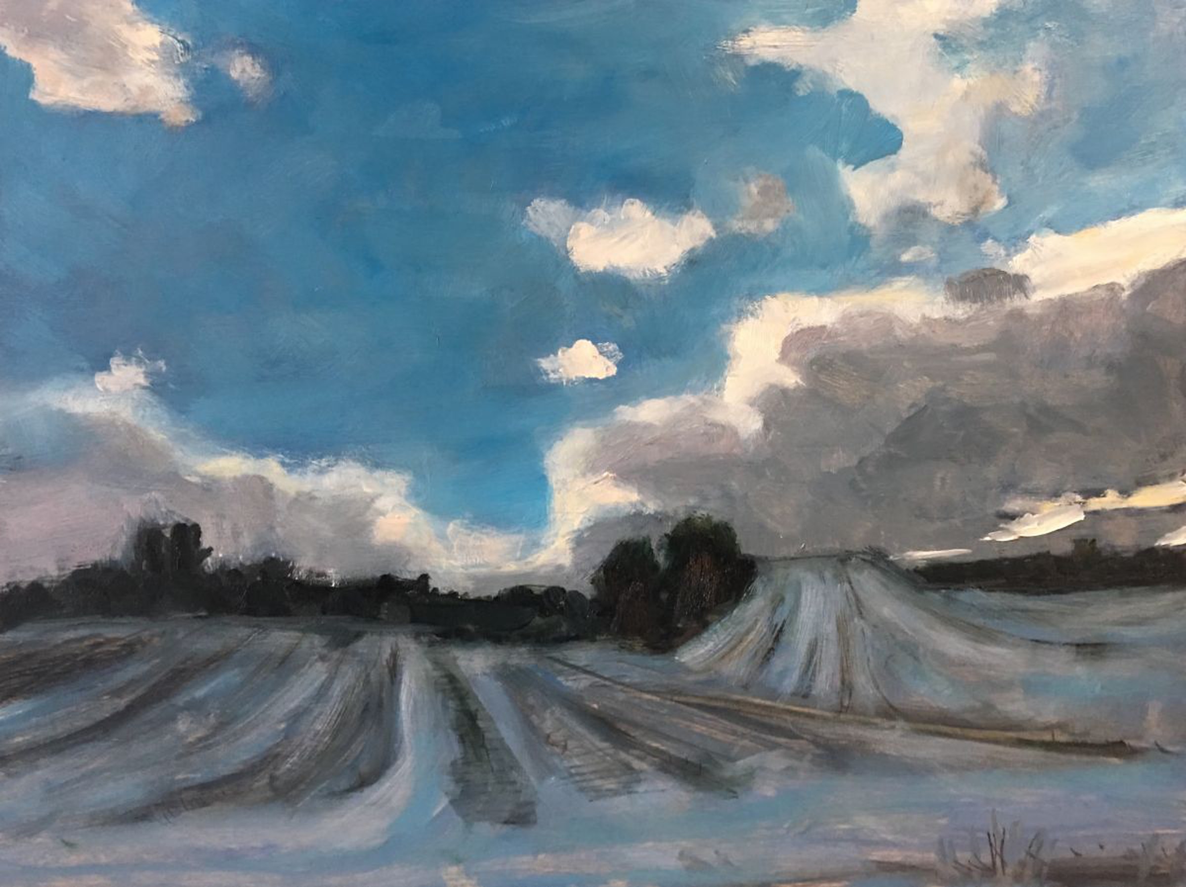 Dark Clouds Over Corn Fields Artfinder