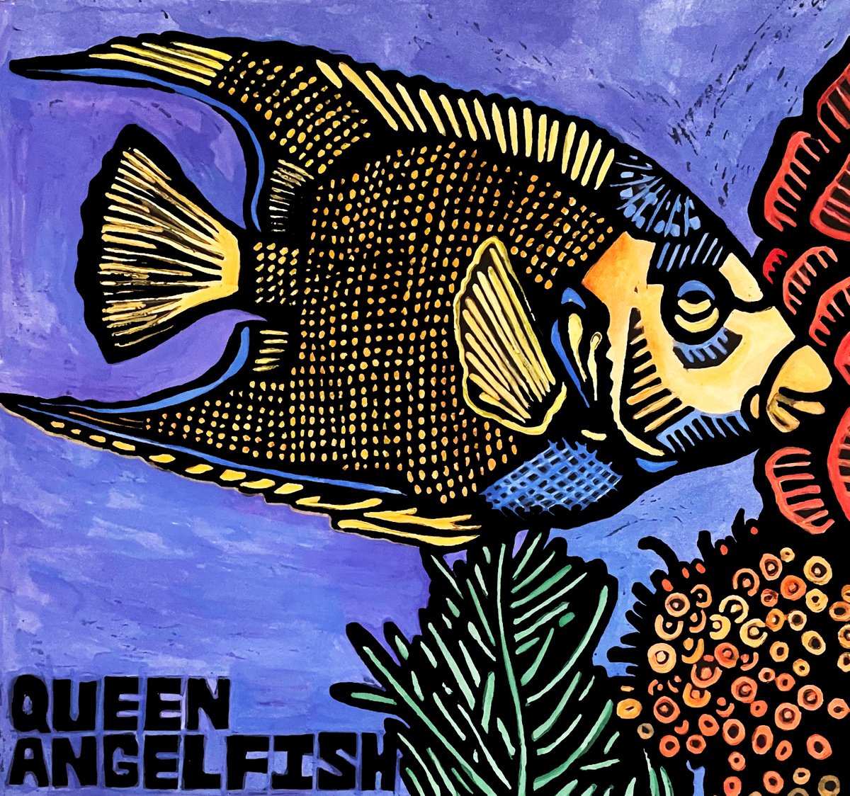 Queen Angelfish by Laurel Macdonald