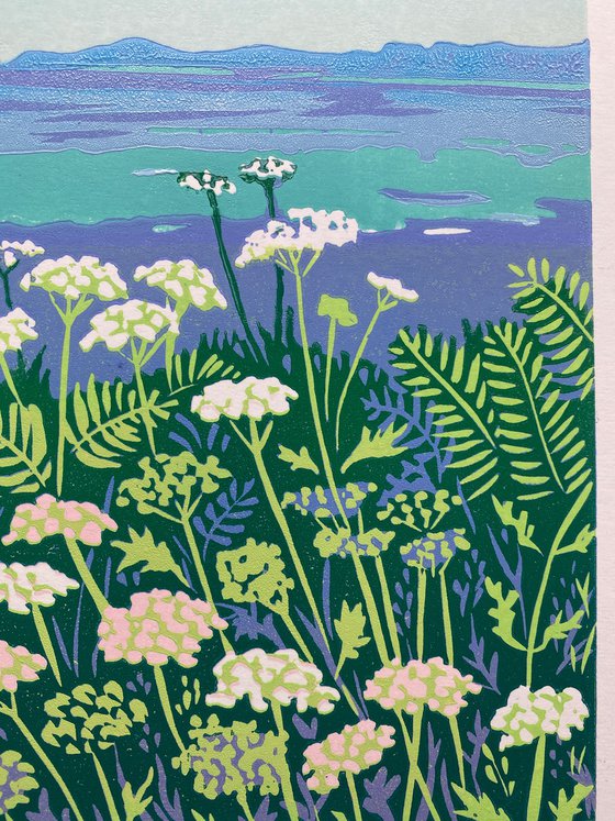 Coastal Yarrow