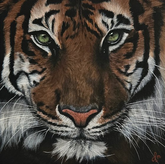 Painting 'Eye of the tiger'