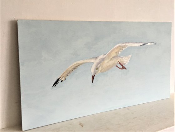 'Gull #1'