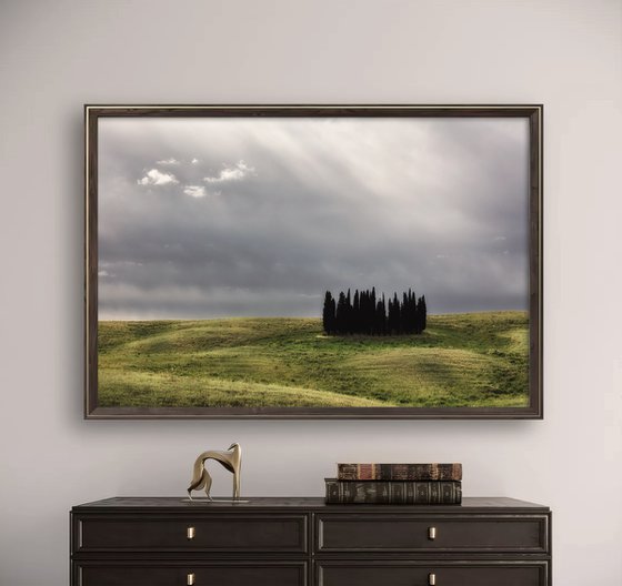 I Cipressini (studio 11)