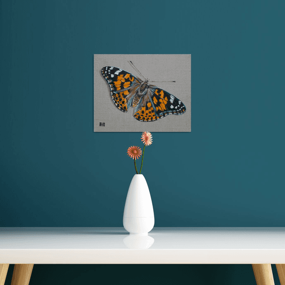 Butterfly