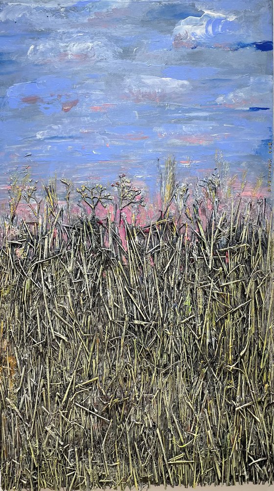 Eternal Horizon Mirage I