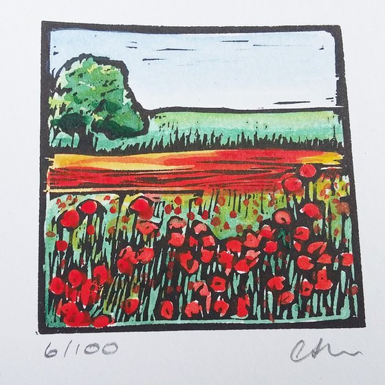 Poppies