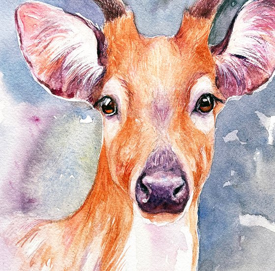 Wild Grace-Chital