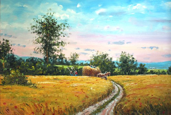 Wheat field (Summer)