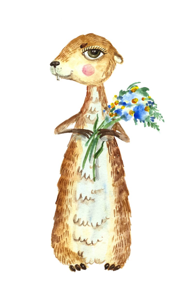 Meerkat by Elena Razina