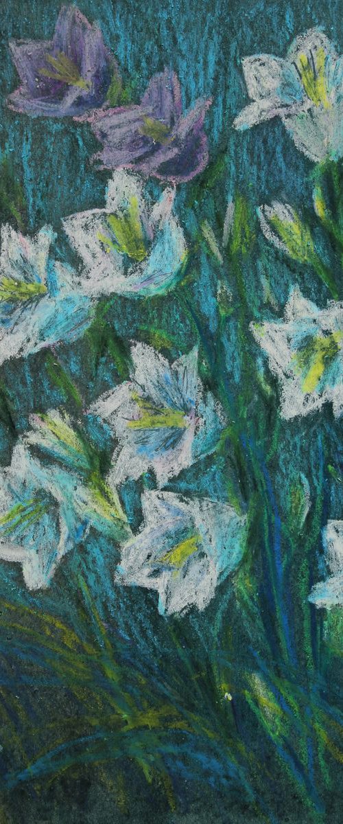 Bellflowers, 2018, oil pastel on paper, 29,5 x 21 cm by Alenka Koderman