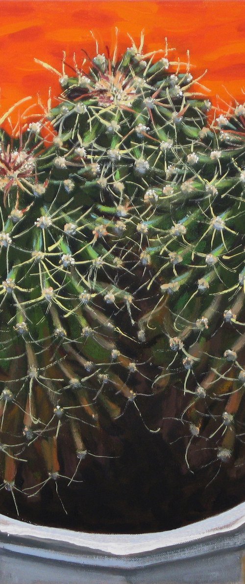 Cactus against an Orange background by Richard Gibson