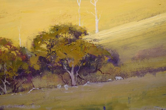 Sunlit Hill Kanimbla valley