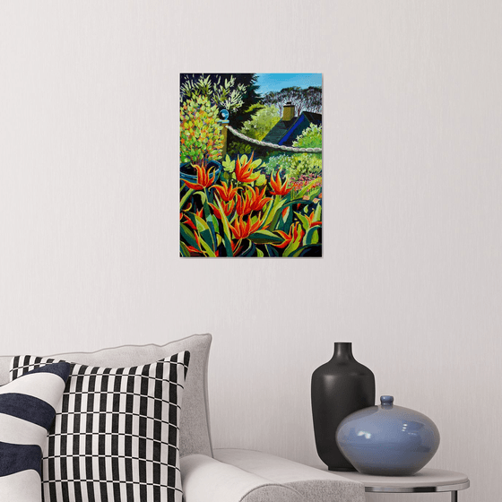 Ballerina Tulips on the patio