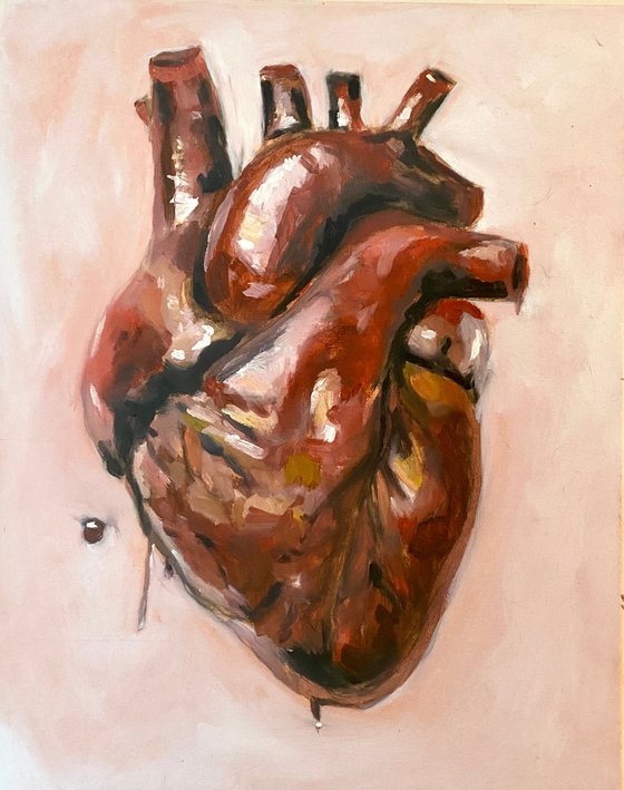 Untitled (Heart Study)