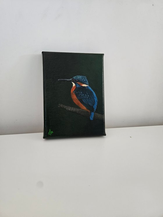 Kingfisher