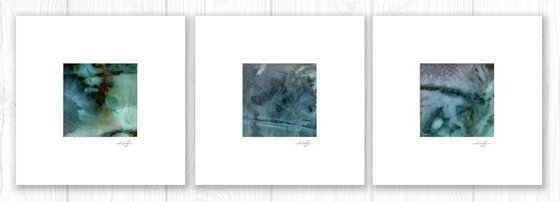 Nature's Rhythm Collection 5