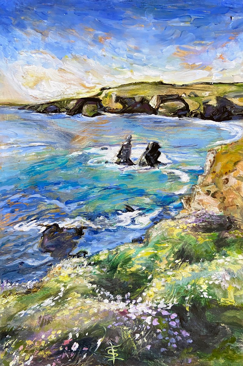 Porthcothan Bay by Elvira Sesenina