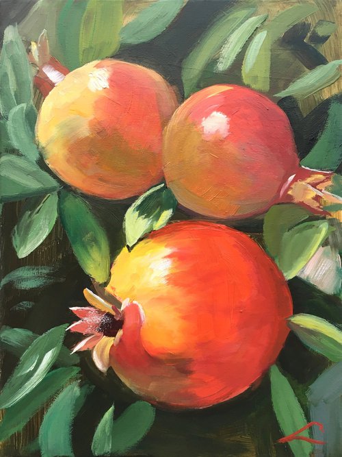 Pomegranates by Elena Sokolova