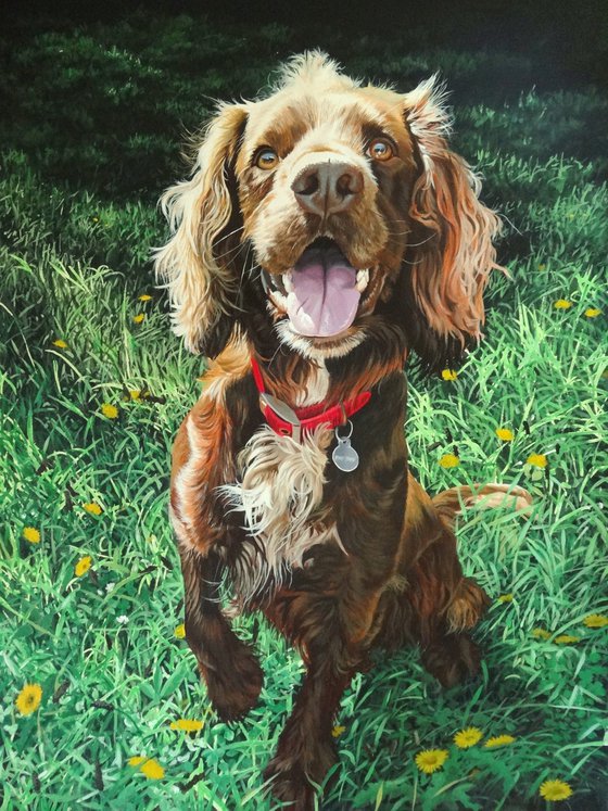 Springer Spaniel Acrylic painting by Julian Wheat | Artfinder