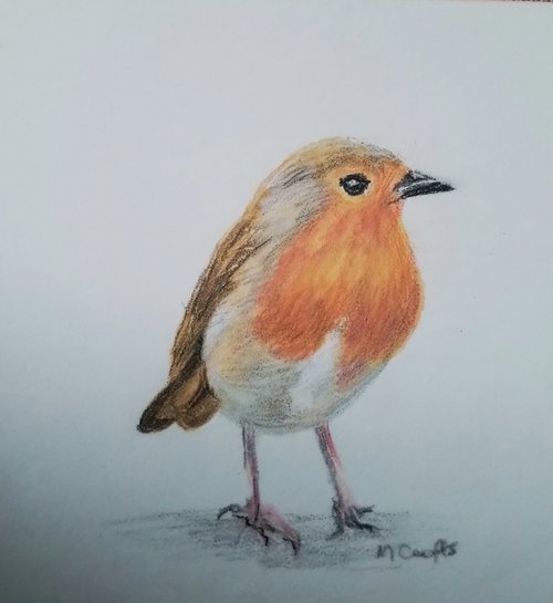 Robin1 by Maureen  Crofts