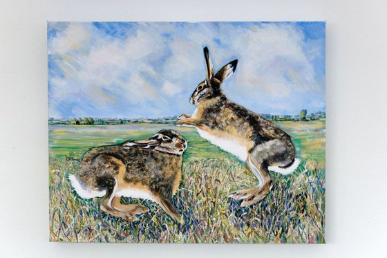 BOXING HARES