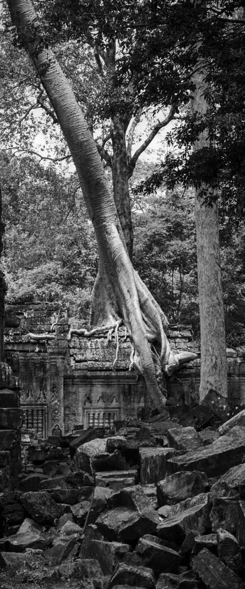 Angkor Series No.3 (Black and White) - Signed Limited Edition by Serge Horta