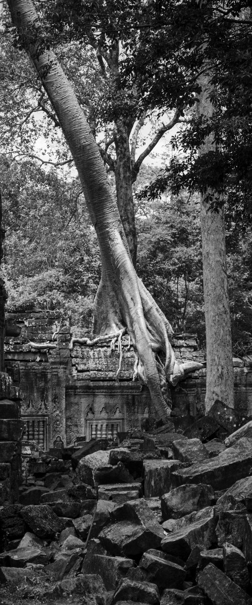 Angkor Series No.3 (B&W) by Serge Horta