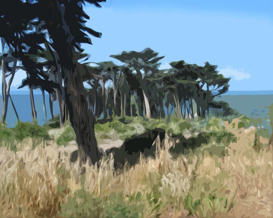 Point Lobos, San Francisco