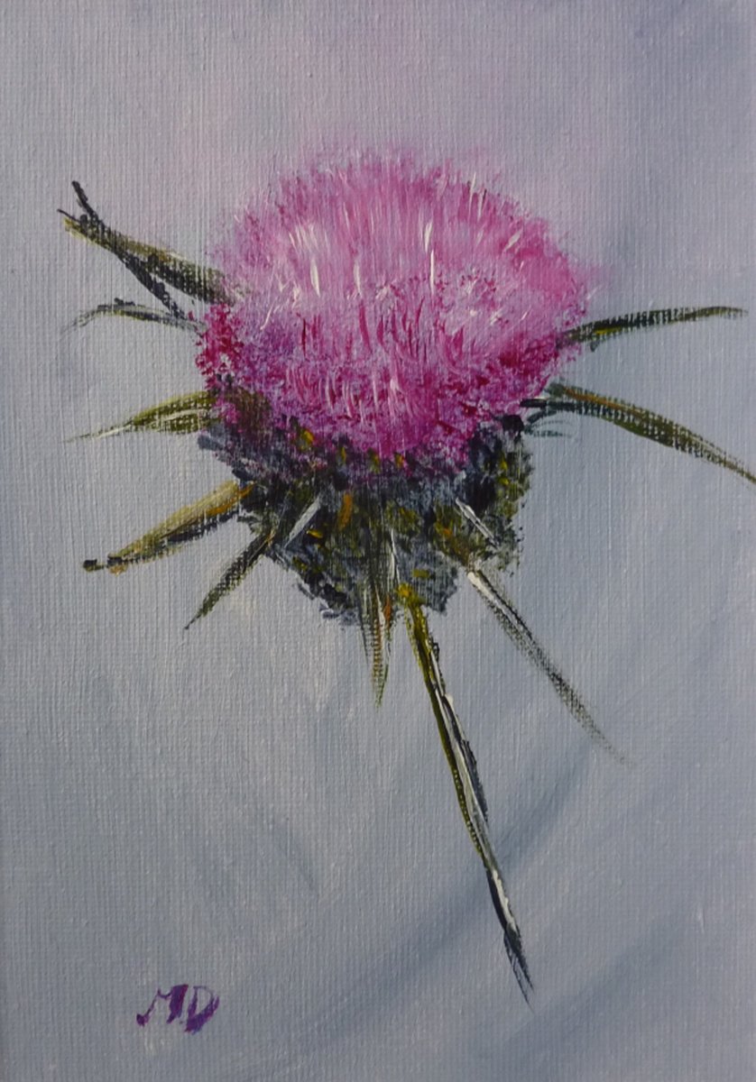 The Thistle, Emblem of Scotland by Margaret Denholm