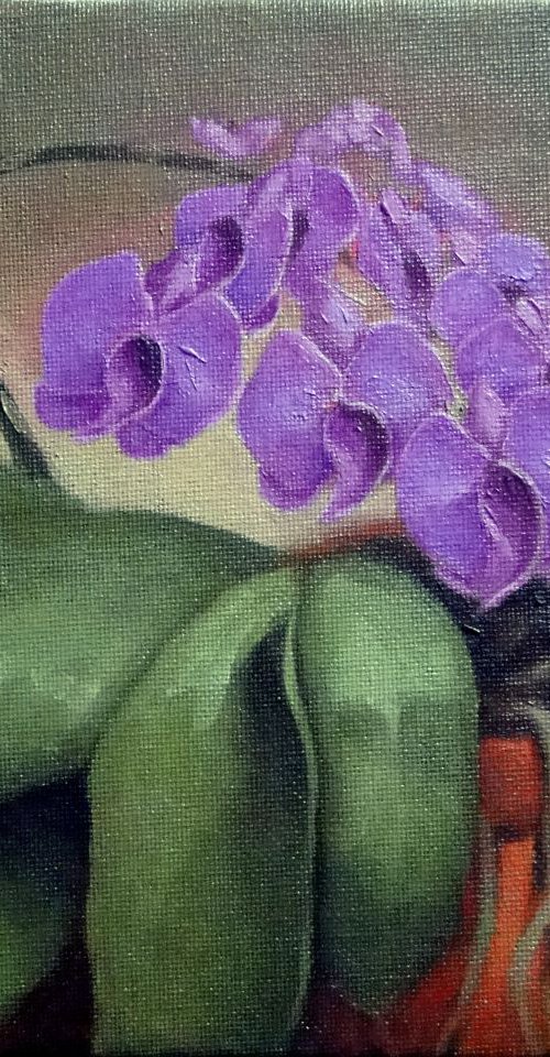 Purple Orchid by Rick Paller