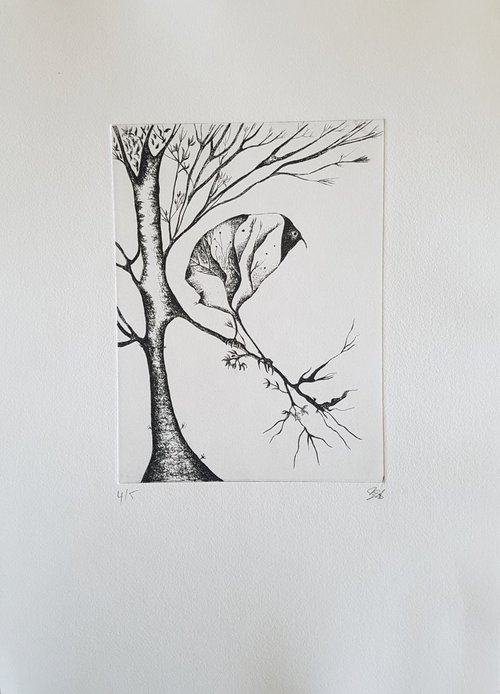 Leaf Bird by Emma Strangwayes-Booth
