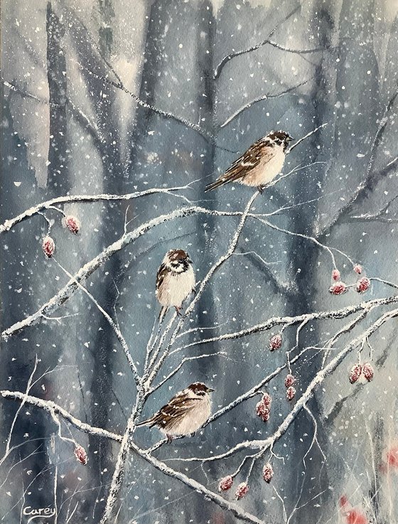 Sparrow’s in winter