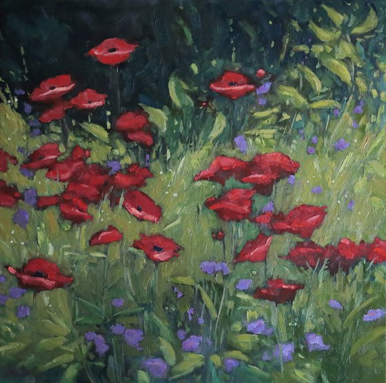 Poppies Dancing in the Sun