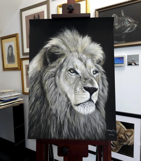 Lion realism wild animals pastel on pastelmat