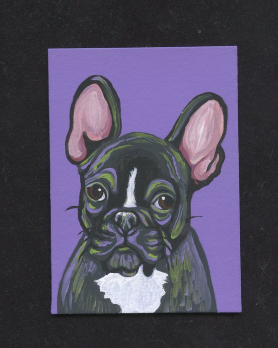 ACEO ATC Original Miniature Painting  French Bulldog Pet Dog Art-Carla Smale