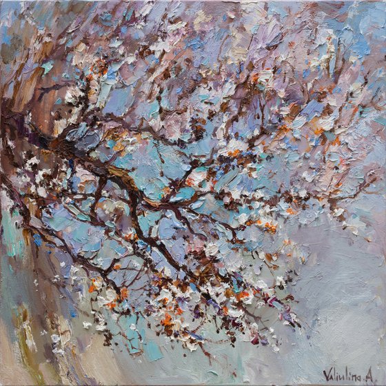 Flowering apricot tree Original oil painting