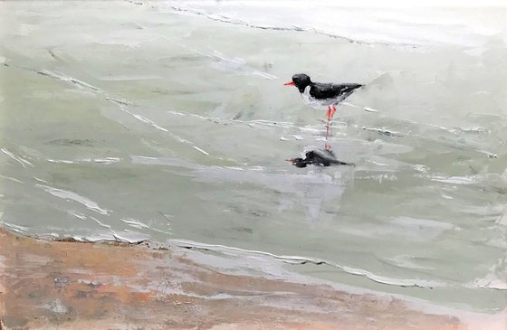 'Reflected Oyster Catcher'