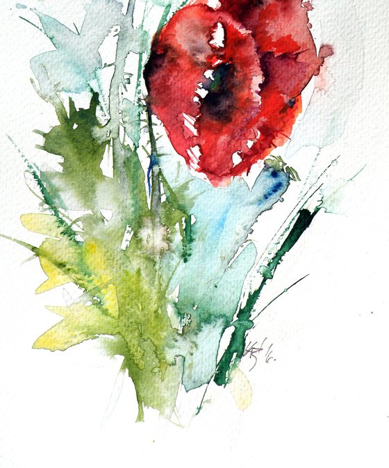 Little poppy II