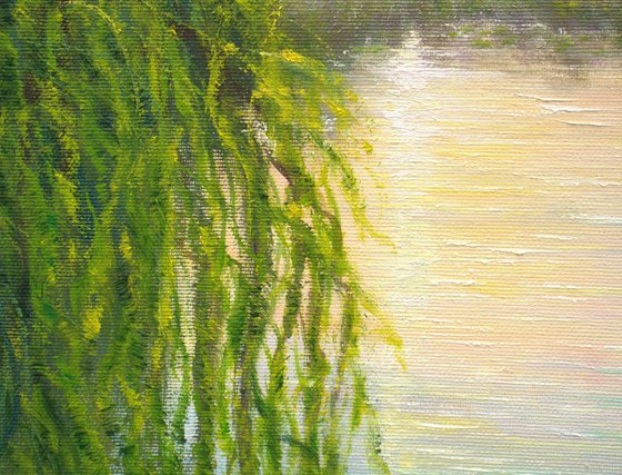 Serene lily pond