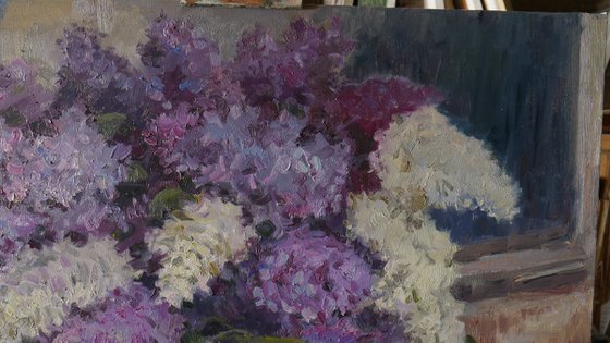 The Night Lilacs