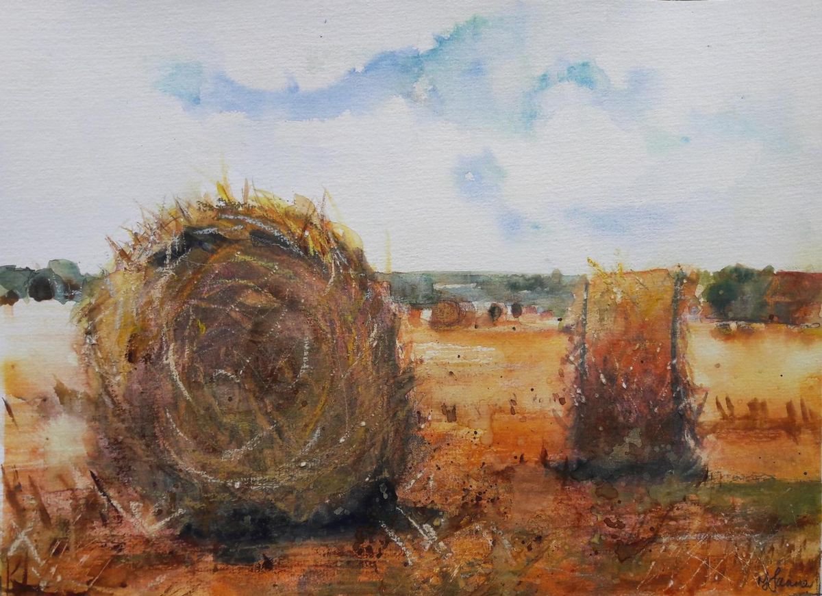 Hay bales summer by Teresa Tanner