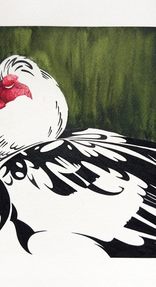 Muscovy duck by Lana Nuori
